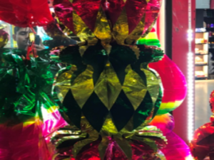 K17 קישוט לסוכה צלופנים ונתלים