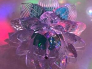 L6 תאורת לד לסוכה