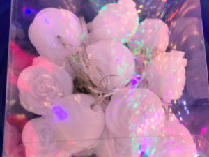 L18 פרחים קטנים